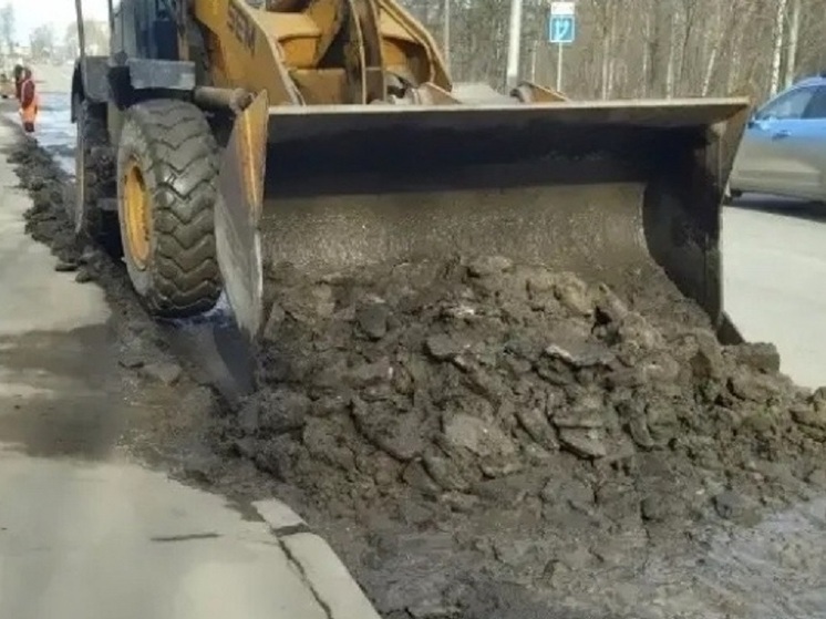 С улиц Петрозаводска вывезено более 2000 тонн мусора