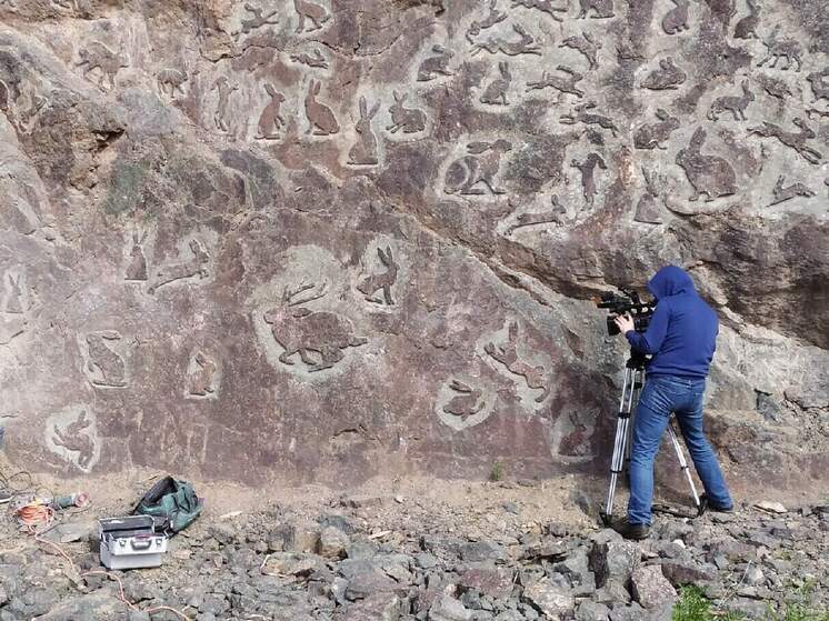 Основатель «Долины Зайцев» планирует открыть в Петрозаводске информационный центр