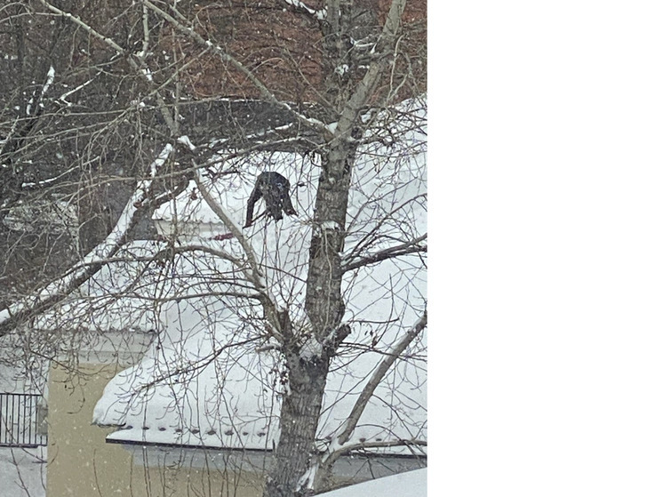 В День ЖКХ: Глава Петрозаводска поблагодарила коммунальщиков за работу