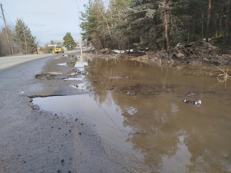 Убийца подвески притаился на краю Петрозаводска