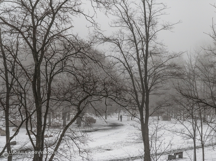 Тепло и снежно будет 2 марта в Карелии
