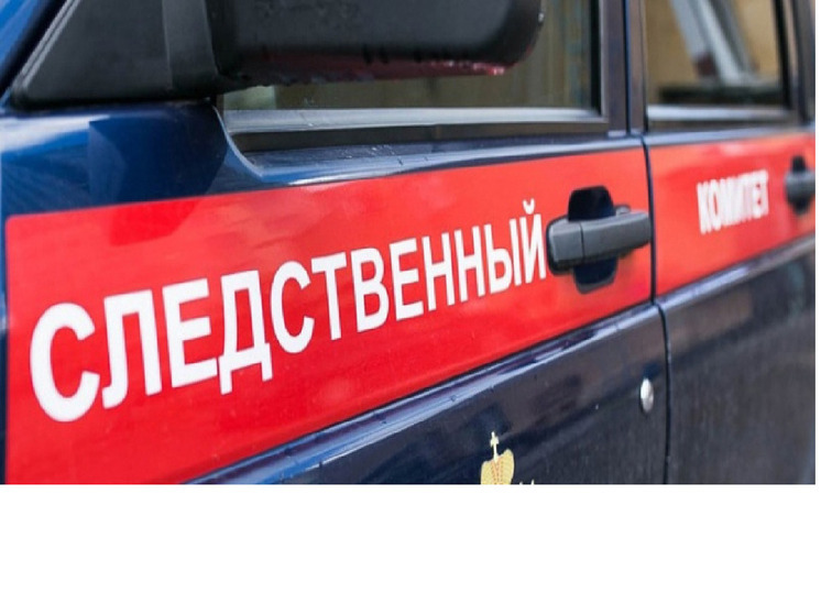 По поручению Бастрыкина в Петрозаводске возбудили уголовное дело по факту избиения 8-летней девочки