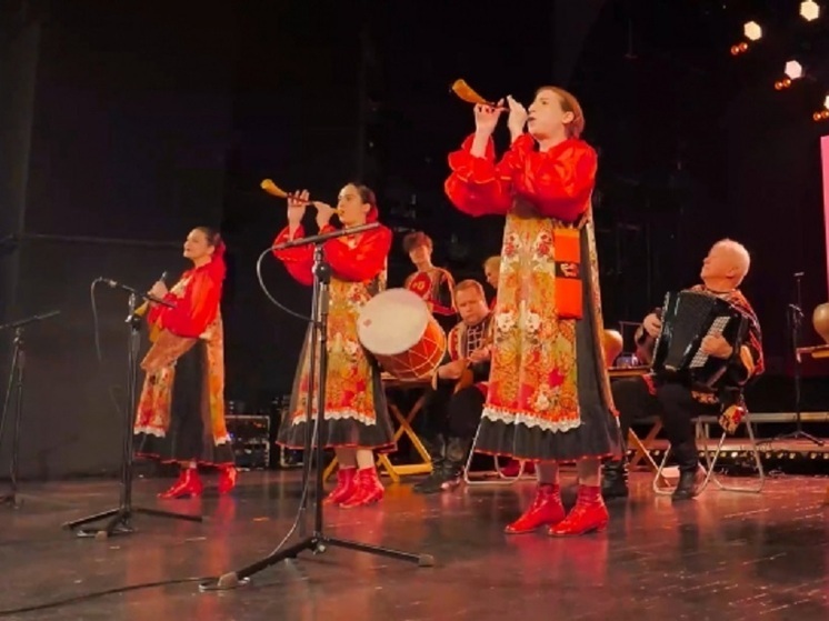 В Петрозаводске состоялся фестиваль национальных музыкальных инструментов