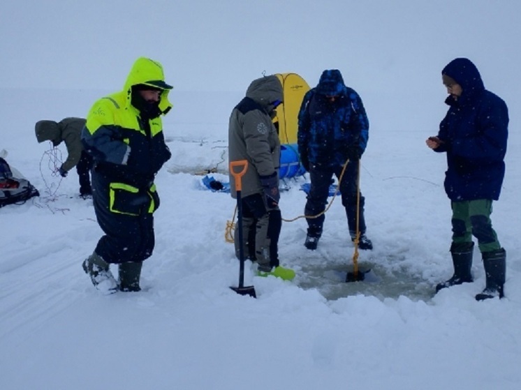 Карельские ученые изучили экологическое состояние Сорокской губы Белого моря