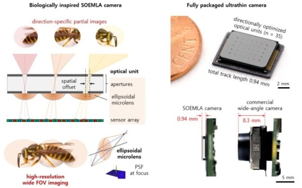 В Южной Корее разработан сверхтонкий модуль камеры с углом зрения 140 градусов В Южной Корее разработан сверхтонкий модуль камеры с углом зрения 140 градусов