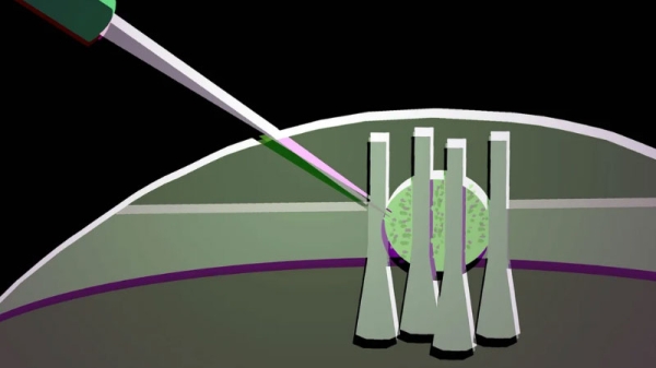 Учёные превратили каплю жидкого кристалла в оптический транзистор для гибких оптических чипов Учёные превратили каплю жидкого кристалла в оптический транзистор для гибких оптических чипов