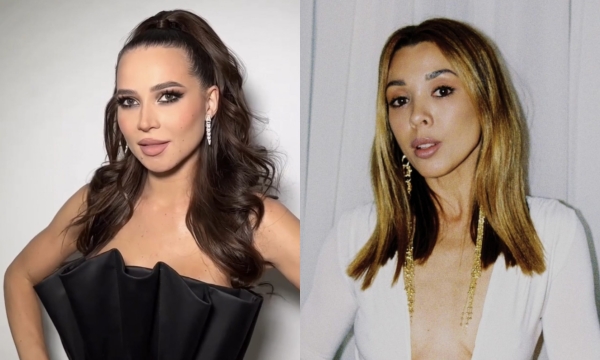 Лерчек хочет отсудить 2,4&nbsp;млн у Эльвиры Янковской, после скандала с которой у неё начались проблемы