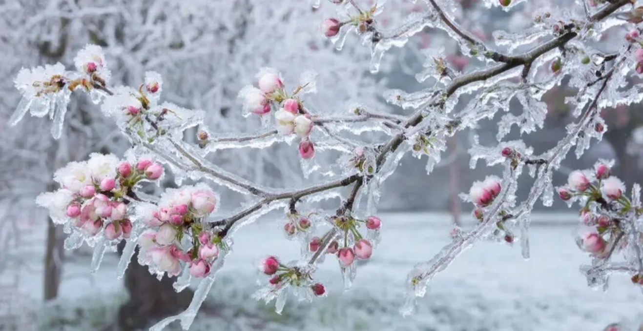 Аномального тепла в мае не будет: Синоптики радикально поменяли прогноз. Теперь ждём сильного холода