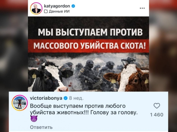 Кто Виктория Боня для Екатерины Гордон: партнер по &laquo;убойному тандему&raquo; или воровка зубодробительного контента
